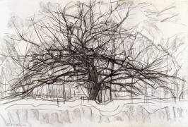 Study for The Grey Tree (Piet Mondrian) - Muzeo.com