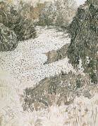 The Corner of the Park (Vincent van Gogh) - Muzeo.com