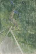 The Rope Dancer (Henri de Toulouse-Lautrec) - Muzeo.com