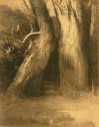 Two Trees (Odilon Redon) - Muzeo.com