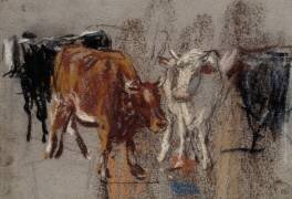 Vaches marchant, de face (Eugène Boudin) - Muzeo.com