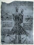 Bone Structure of the Human Neck and Shoulder (Leonardo da Vinci) - Muzeo.com