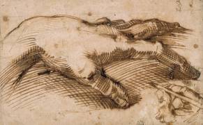 Etude d'une main en dessinant une autre (Michelangelo Buonarroti) - Muzeo.com