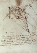 Flying machine drawing (Leonardo da Vinci) - Muzeo.com