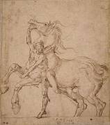 Homme nu tenant un cheval cabré (Albrecht Dürer) - Muzeo.com