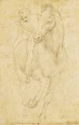 Horse and Rider (Leonardo da Vinci) - Muzeo.com