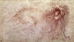 Sketch of a roaring lion (Leonardo da Vinci) - Muzeo.com