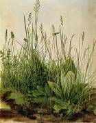 The Great Piece of Turf (Albrecht Dürer) - Muzeo.com
