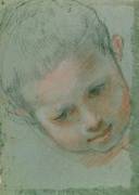 The Head of a Boy (Baroccio) - Muzeo.com
