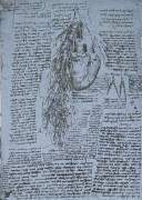 The Heart and the bronchial arteries (Leonardo da Vinci) - Muzeo.com