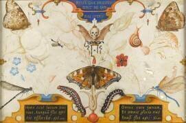 Allégorie de la brièveté de la vie (Georg Hoefnagel) - Muzeo.com
