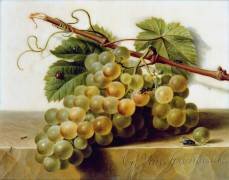A Bunch of Grapes on a Marble Ledge (Gérard van Spaendonck) - Muzeo.com