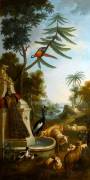 A Crested Crane, a Peacock, a Macaw, a Shelduck and Markhors (Christophe Huet) - Muzeo.com