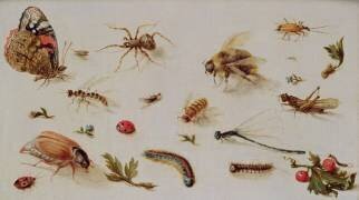 A Study of Insects (Jan Brueghel the Younger) - Muzeo.com