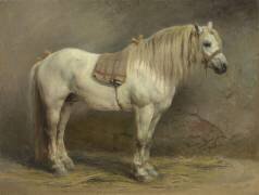 A White Horse (Rosa Bonheur) - Muzeo.com