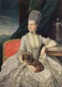 Archduchess Maria Christine Habsburg-Lothringen (Johan Zoffany) - Muzeo.com