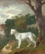 Bumper, a Bull Terrier (Thomas Gainsborough) - Muzeo.com