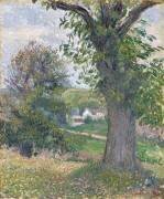 Chestnut trees in Osny (Camille Pissarro) - Muzeo.com