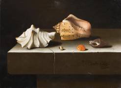Cinq coquillages sur une tranche de pierre (Adriaen Coorte) - Muzeo.com