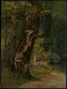 Deer in the Forest (Gustave Courbet) - Muzeo.com