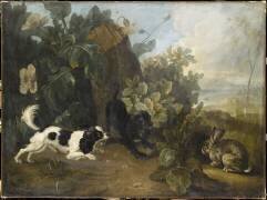 Deux chiens et un lapin (Nicolas Desportes) - Muzeo.com