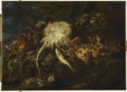 Divers poissons et araignées de mer (Felice Boselli) - Muzeo.com