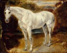 Etude de cheval blanc (Eugène Delacroix) - Muzeo.com