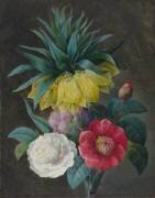 Four Peonies and a Crown Imperial (Pierre Joseph Redouté) - Muzeo.com