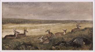 Harde de daims couchés (Antoine-Louis Barye) - Muzeo.com