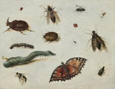 Insects (Jan van Kessel) - Muzeo.com
