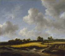 Landscape with a Wheatfield (Jacob Isaakszoon van Ruisdael) - Muzeo.com