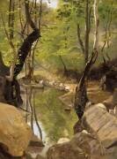 Les bords du Cousin (Morvan) (anonymous) - Muzeo.com