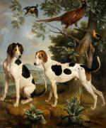 Les Chiens Pompée et Florissant (Alexandre-François Desportes) - Muzeo.com