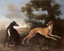 Mignonne et Sylvie, chiens de Louis XV (Jean-Baptiste Oudry) - Muzeo.com