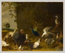 Oiseaux de basse-cour (Adriaen van Utrecht) - Muzeo.com