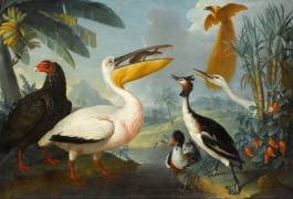 Oiseaux exotiques (Alexandre-François Desportes) - Muzeo.com