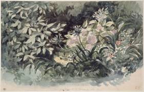 Parterre de fleurs avec hortensias roses, scylles bleutés et anémones rouges (Eugène Delacroix) - Muzeo.com