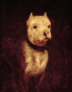 Portrait of a bulldog (Théodore Géricault) - Muzeo.com