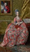 Portrait of the Archduchess Maria Amalia of Austria (Johan Zoffany) - Muzeo.com