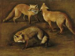 Renards (Pieter Boel) - Muzeo.com