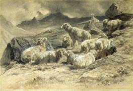 Sheep (Rosa Bonheur) - Muzeo.com