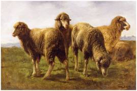 Sheep Grazing in a Meadow (Rosa Bonheur) - Muzeo.com