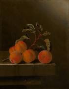 Still Life with Five Apricots (Adriaen Coorte) - Muzeo.com