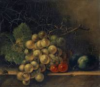Still Life with Grape, Stone Fruit and Fly (Rachel Ruysch) - Muzeo.com