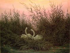 Swans in the Reeds (Caspar David Friedrich) - Muzeo.com
