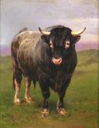 The Black Bull (Rosa Bonheur) - Muzeo.com