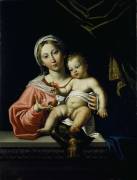 The Madonna della Rosa (Domenichino) - Muzeo.com