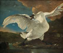 The Threatened Swan (Jan Asselijn) - Muzeo.com