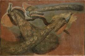 Trois paons (Pieter Boel) - Muzeo.com