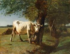 Vache qui se gratte (Constant Troyon) - Muzeo.com
